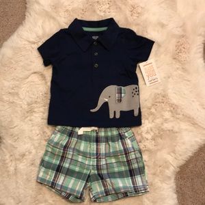 Baby Boy Polo and Shorts 3 Mth